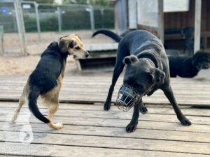 Hutamix-25-10-w06-024