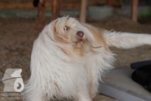 Hutamix-25-10-w06-025