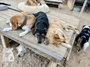 Hutamix-25-10-w06-025