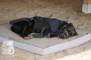 Hutamix-25-10-w06-026