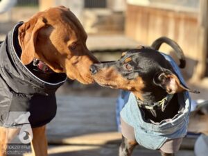 Hutamix-25-10-w06-026