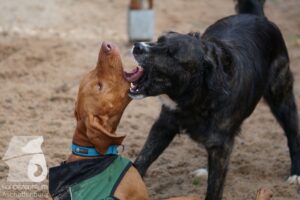 Hutamix-25-10-w06-027