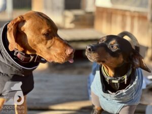 Hutamix-25-10-w06-027