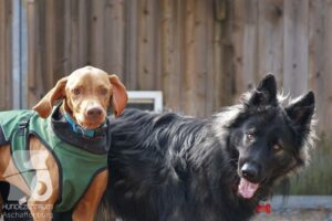 Hutamix-25-10-w06-028