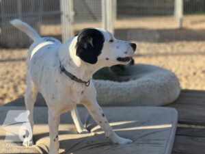 Hutamix-25-10-w06-028