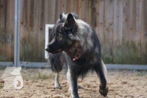 Hutamix-25-10-w06-029