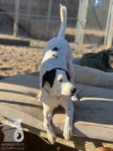 Hutamix-25-10-w06-029