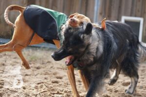 Hutamix-25-10-w06-030