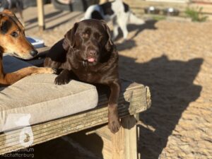 Hutamix-25-10-w06-030