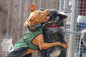 Hutamix-25-10-w06-031