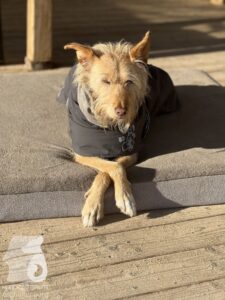 Hutamix-25-10-w06-031