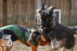 Hutamix-25-10-w06-032