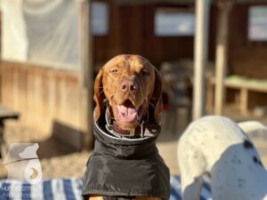 Hutamix-25-10-w06-032