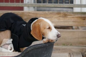 Hutamix-25-10-w06-033