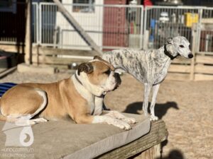 Hutamix-25-10-w06-033