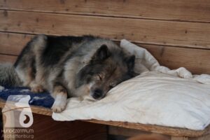 Hutamix-25-10-w06-034