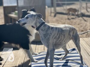 Hutamix-25-10-w06-034