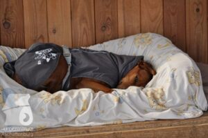 Hutamix-25-10-w06-035