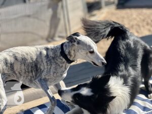 Hutamix-25-10-w06-035