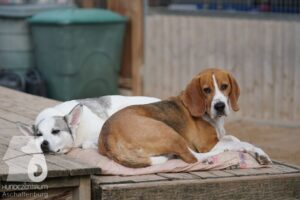 Hutamix-25-10-w06-036