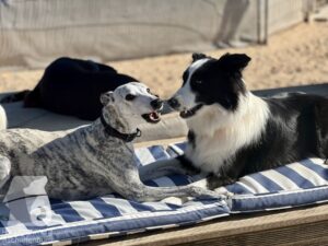 Hutamix-25-10-w06-036