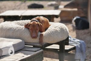 Hutamix-25-10-w06-037