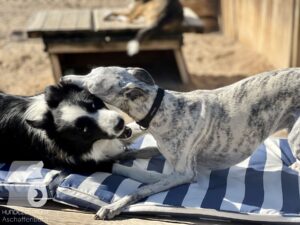 Hutamix-25-10-w06-037