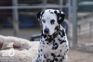 Hutamix-25-10-w06-038