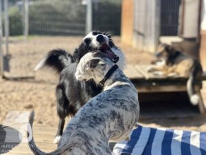 Hutamix-25-10-w06-038