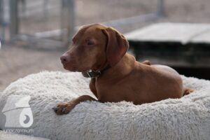 Hutamix-25-10-w06-039