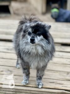 Hutamix-25-10-w06-039