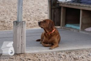 Hutamix-25-10-w06-040