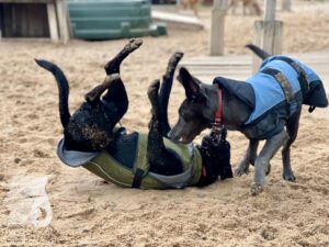 Hutamix-25-10-w06-040