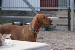 Hutamix-25-10-w06-041