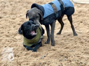 Hutamix-25-10-w06-041