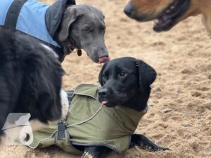 Hutamix-25-10-w06-042