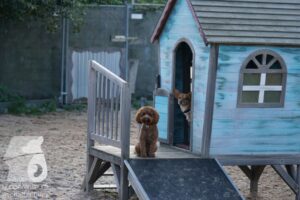 Hutamix-25-10-w06-043