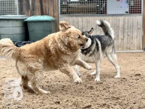 Hutamix-25-10-w06-043