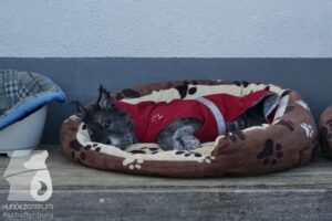 Hutamix-25-10-w06-044