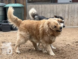 Hutamix-25-10-w06-044