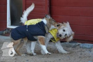 Hutamix-25-10-w06-045