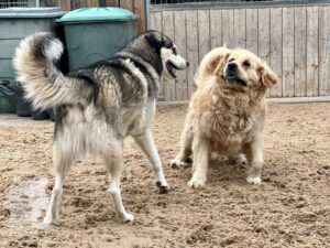 Hutamix-25-10-w06-045