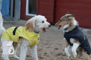 Hutamix-25-10-w06-046