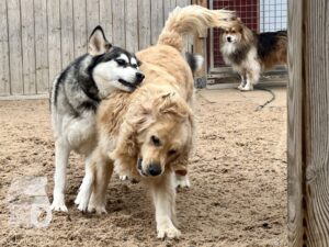 Hutamix-25-10-w06-046