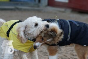 Hutamix-25-10-w06-047