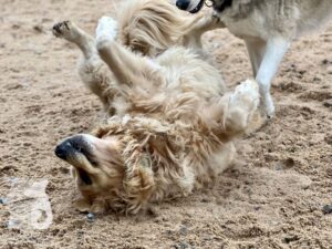 Hutamix-25-10-w06-047