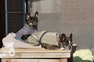 Hutamix-25-10-w06-048