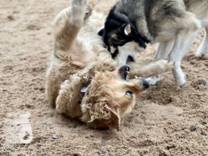 Hutamix-25-10-w06-048