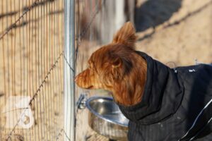 Hutamix-25-10-w06-049