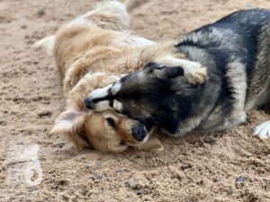 Hutamix-25-10-w06-049